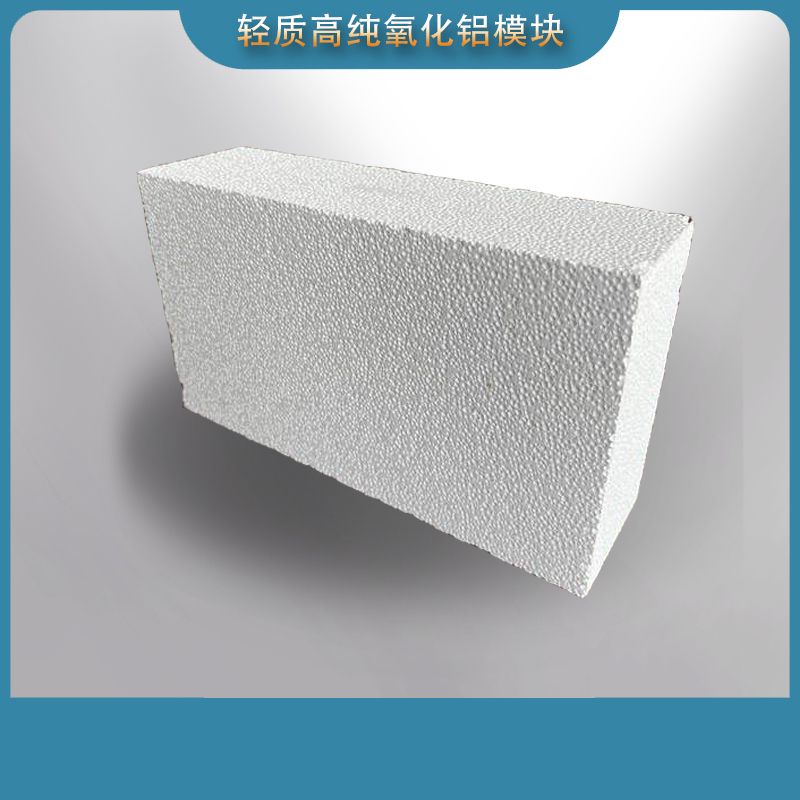 Lightweight and high-purity alumina module